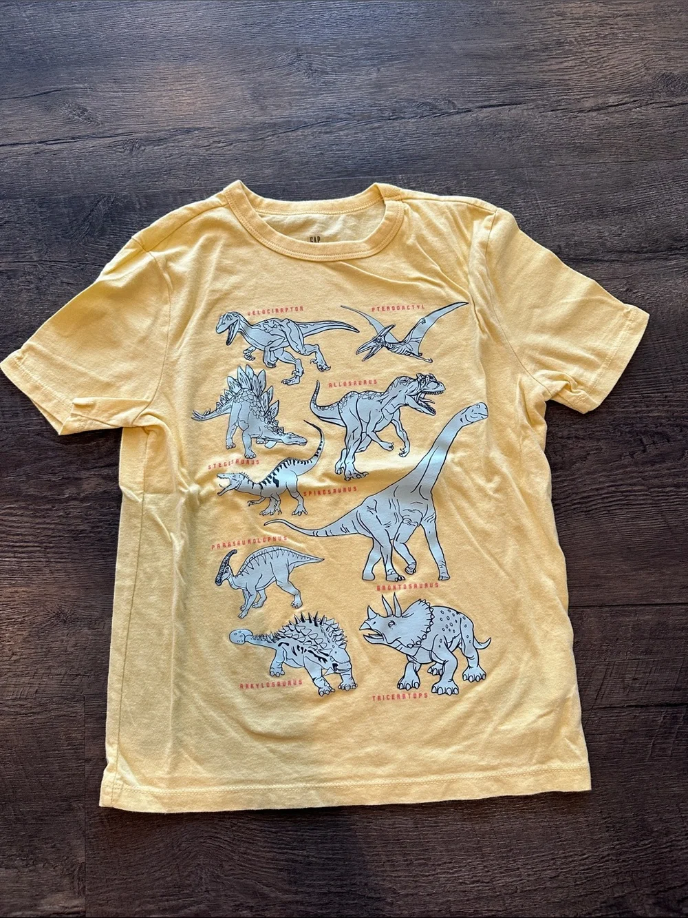 GAP Kids BUNDLE (4) Boy's Medium 8‎ Short Sleeve Graphic Tees